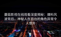 蘑菇影视在线观看深度揭秘：爆料风波背后，神秘人在后台的角色异常令人意外