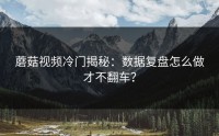 蘑菇视频冷门揭秘：数据复盘怎么做才不翻车？